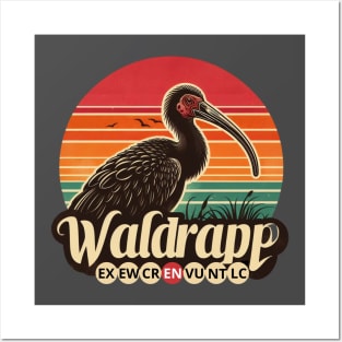 WALDRAPP (Geronticus eremita) critically endangered bird Posters and Art